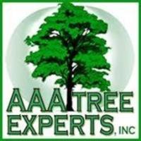 AAA Tree Experts image 1